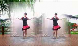 广场舞大全视频播放,热门视频精选，舞动健康生活